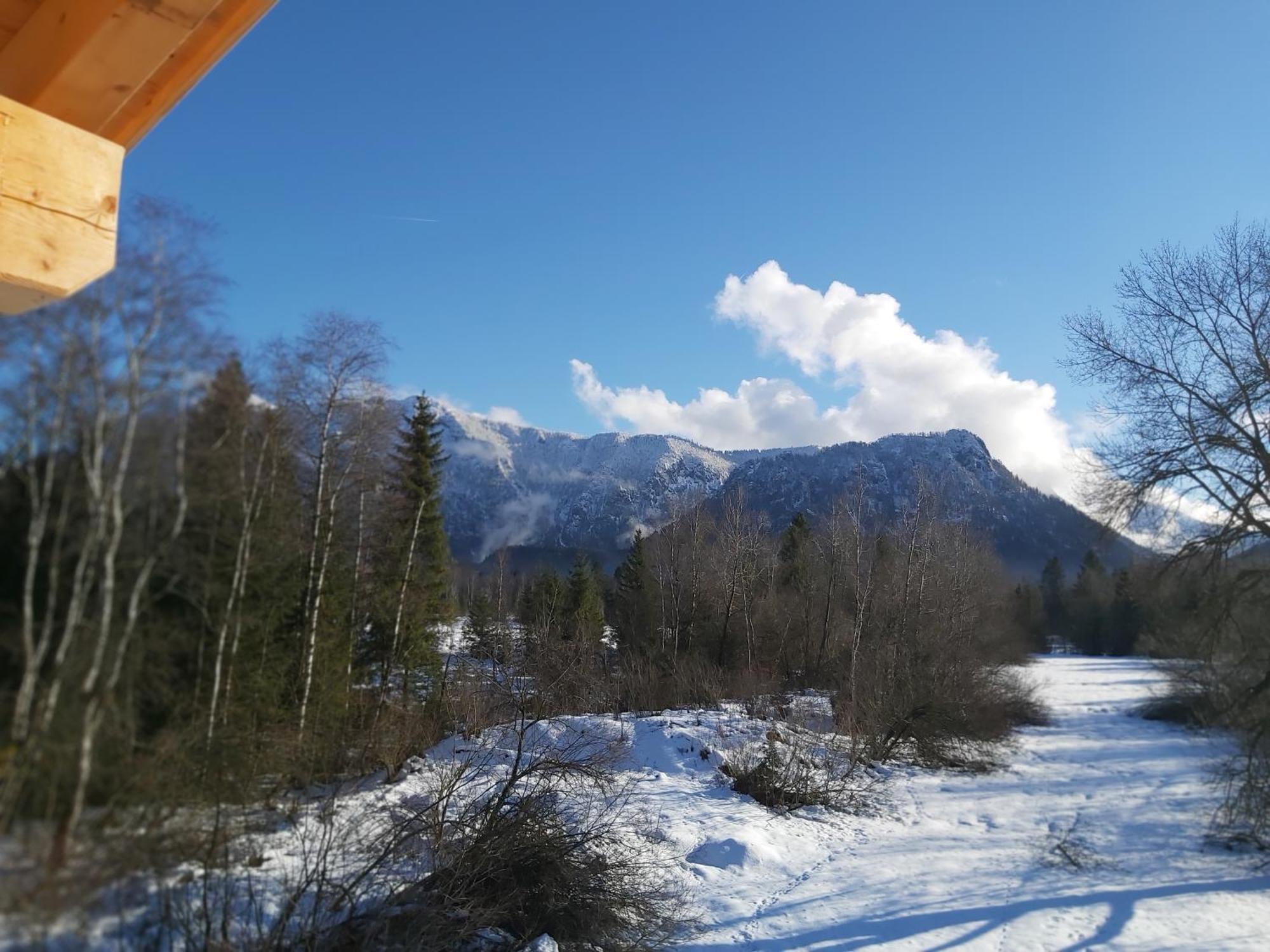 Apartment Andrea - Chiemgau Karte Inzell Buitenkant foto