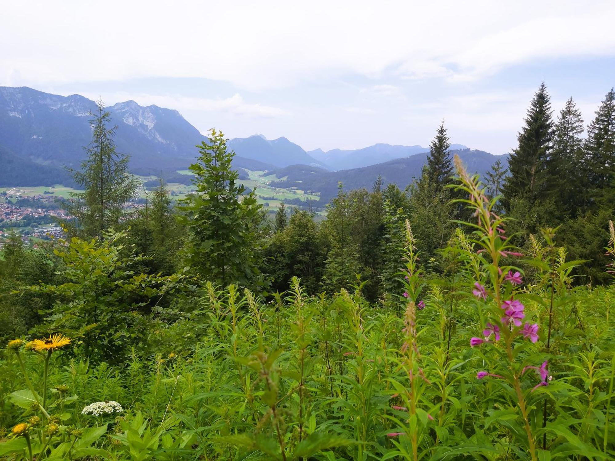 Apartment Andrea - Chiemgau Karte Inzell Buitenkant foto