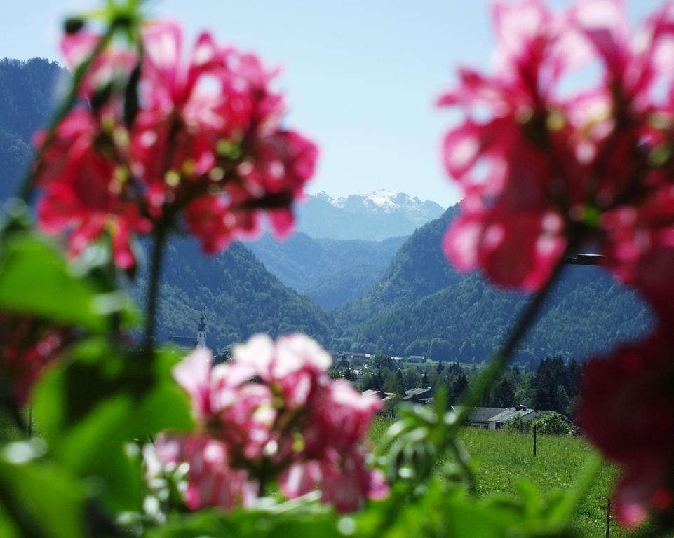 Apartment Andrea - Chiemgau Karte Inzell Buitenkant foto